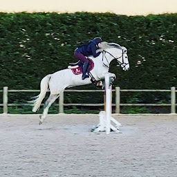 Photo n°5 de Ecuries de Suisnes Poney Club à Grisy-Suisnes (Centre équestre)
