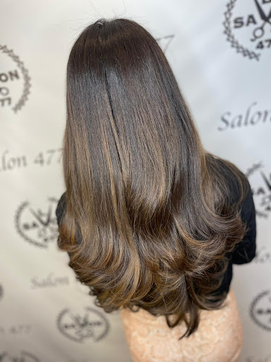 Salon 477 - Thumbnail