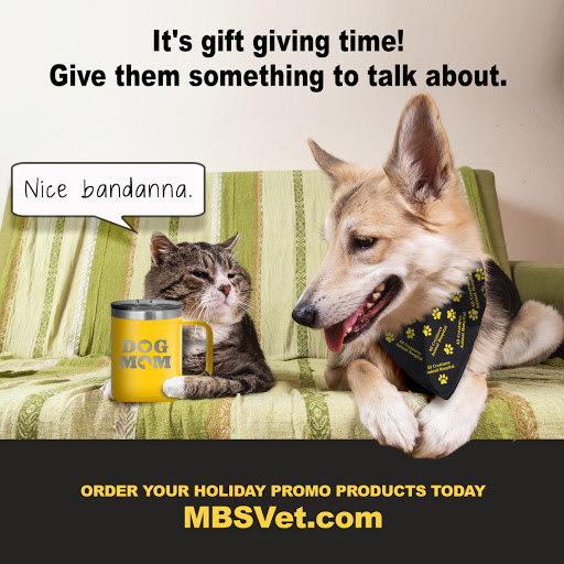 MBS Communications - Visual