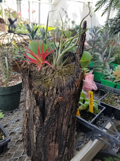 Boehm's Lawn & Garden Center - Thumbnail