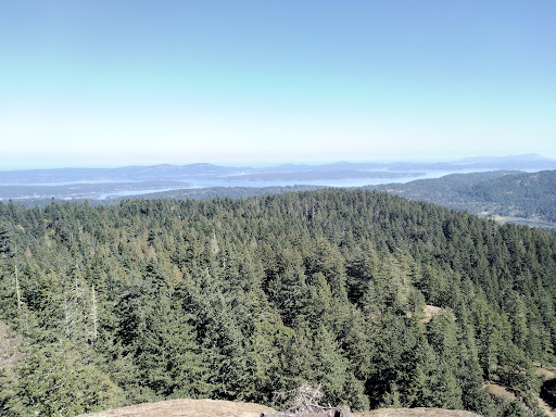 Mt. Maxwell Lookout Trail #4