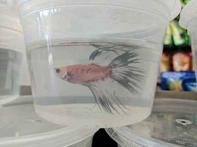 Eden Pets Supplies & Aquarium