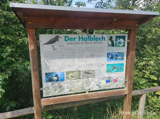 Vogelbeoachtungsstation Halblech - Thumbnail