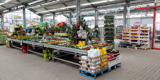 hagebaumarkt Oschersleben Gallery - Germany