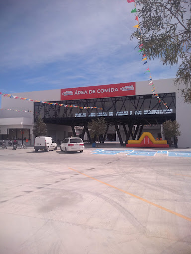 Piñas Locas Villa Hidalgo