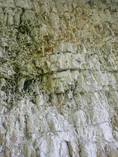 Cookham Dean Chalk Pit - Thumbnail