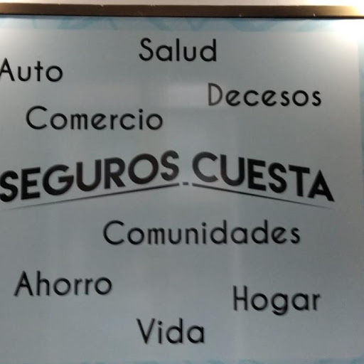 Seguros Cuesta - Thumbnail