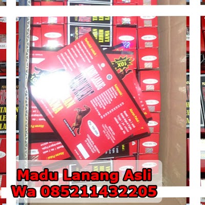 Photos of Madu Lanang Indonesia