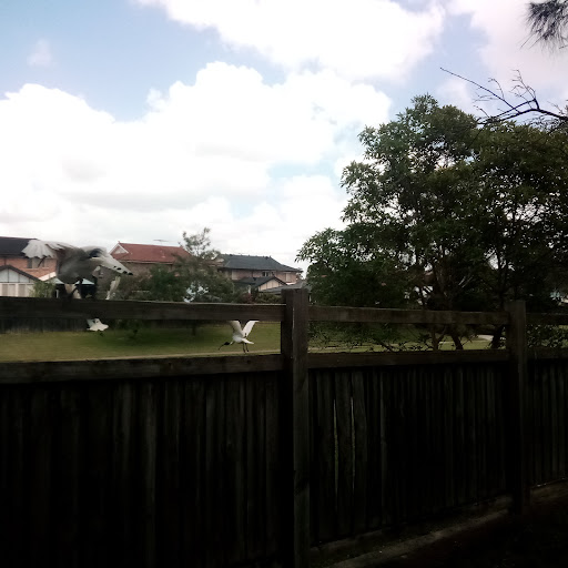 Central Gardens Park Estate - Thumbnail