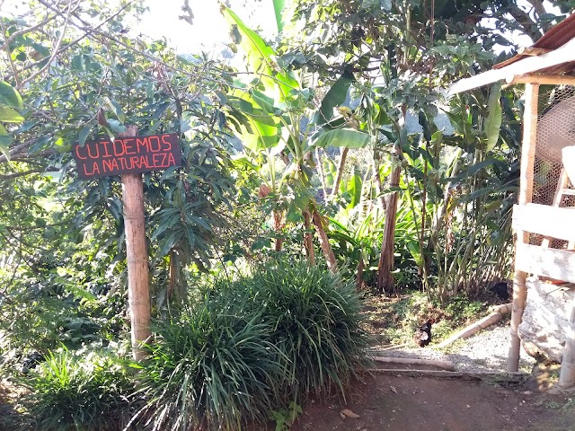 Finca De Don Elias