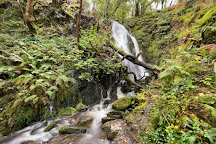 Dolgoch Falls, Snowdonia National Park, United Kingdom
