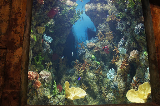 Nautilus Attraction Developments - Visual