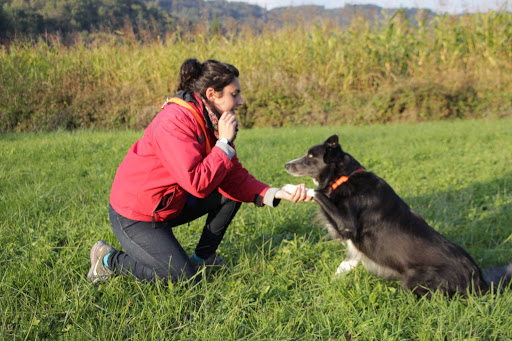 LES COMPAGNONS DU LIEN Gallery - France