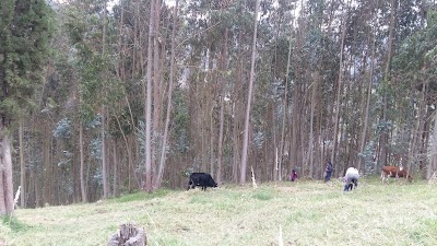 Photos of Quinta San Nicolas