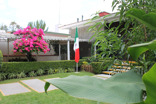Colegio Shalom - Thumbnail