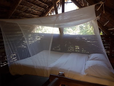 Photos of Iharana Bush Camp