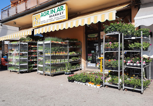 Agr.In.Ar. Market - Visual