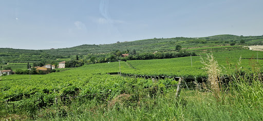 Area Ristoro Mezzane di Sotto - Thumbnail