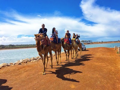 Photos of Agadir Discovery Tours & Excursions