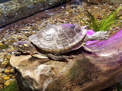 Meigs Point Nature Center