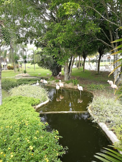 Photos of Los Tajibos