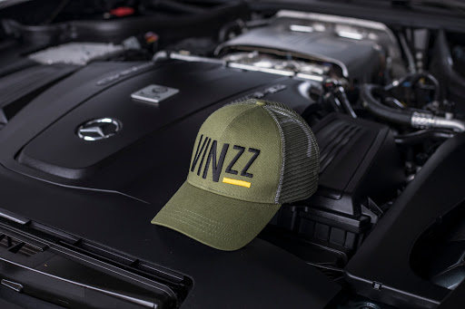 VINZZ (Wanna Have) - Thumbnail