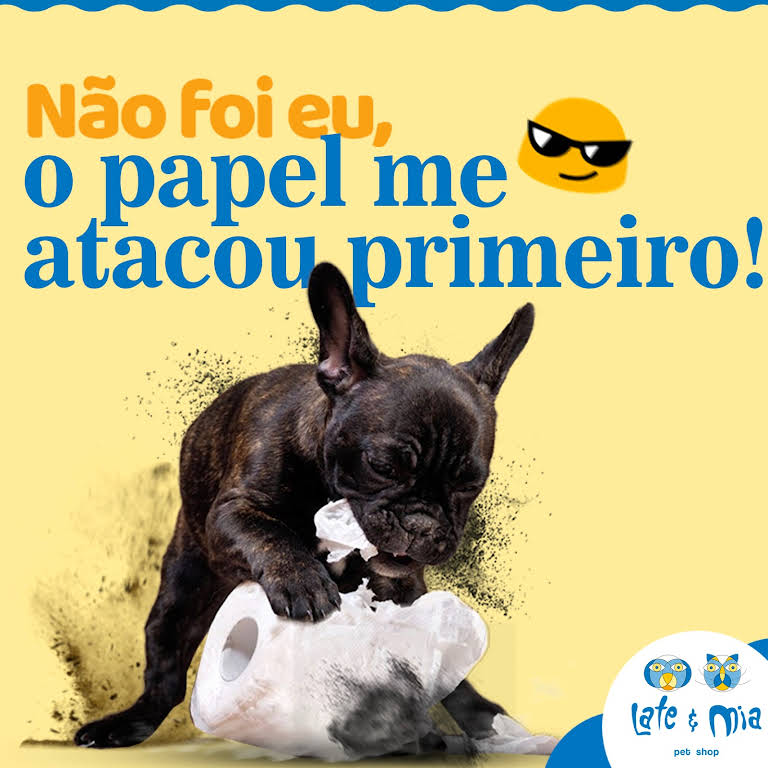 Late e Mia Pet Shop e Consultório Veterinário - Komprao - Pet Shop em Vila  Lenzi