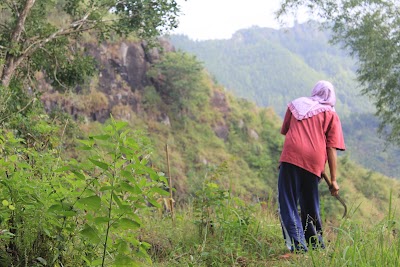 Photos of Taman Wisata Watu Adek (WA)