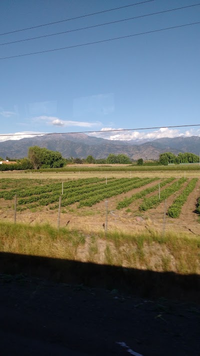 Photos of Siegel Y Compa&ntilde;ia