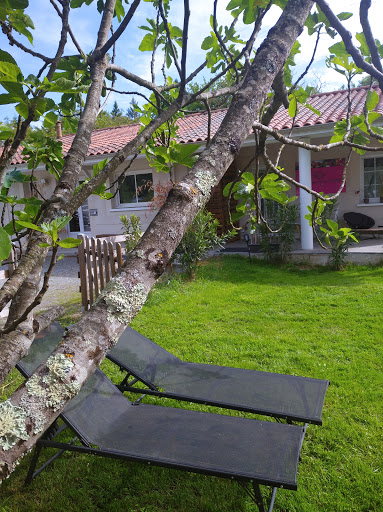 Photo de La Villa D'Ô
