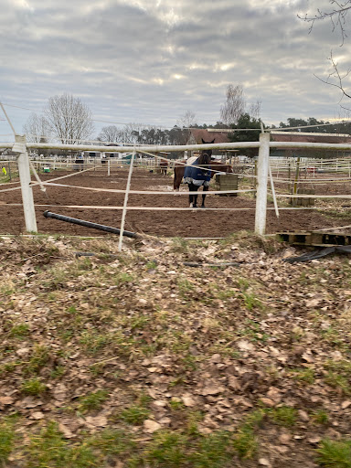 Kaube Ranch - Visual
