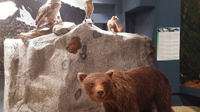 Photos of Jostedalsbreen National Park Center