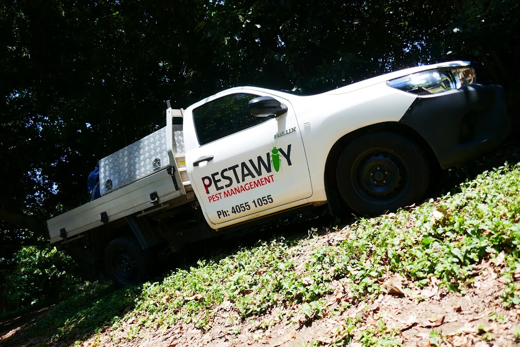 Pestaway Pest Management Cairns
