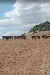 Photo n°2 de Gaec De Chouvel II à Beaulieu (Siège social)