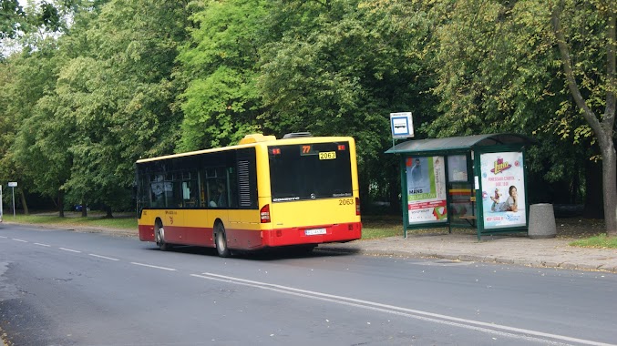 Milionowa - Śmigłego-Rydza (0579), Author: steven lodz