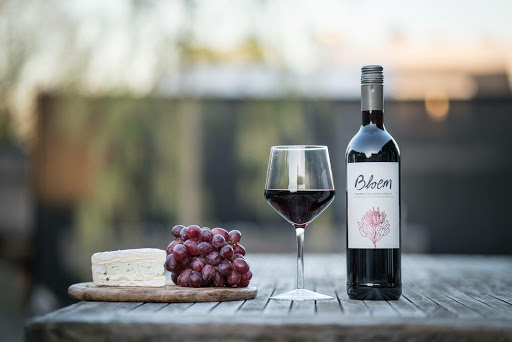 Vinolo - Visual