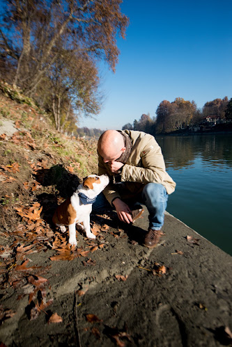 Dr Diego Rendini Veterinario Comportamentalista - Torino