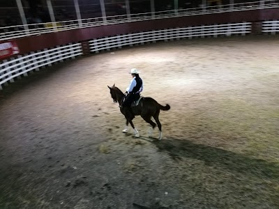 Photos of Plaza de Toros Sabana Larga