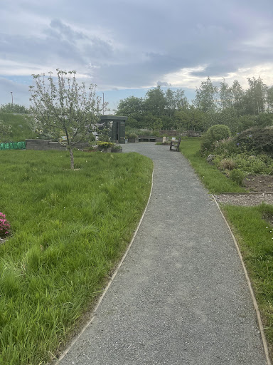Community hospital garden - Thumbnail