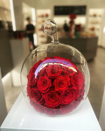 Floruit - Visual