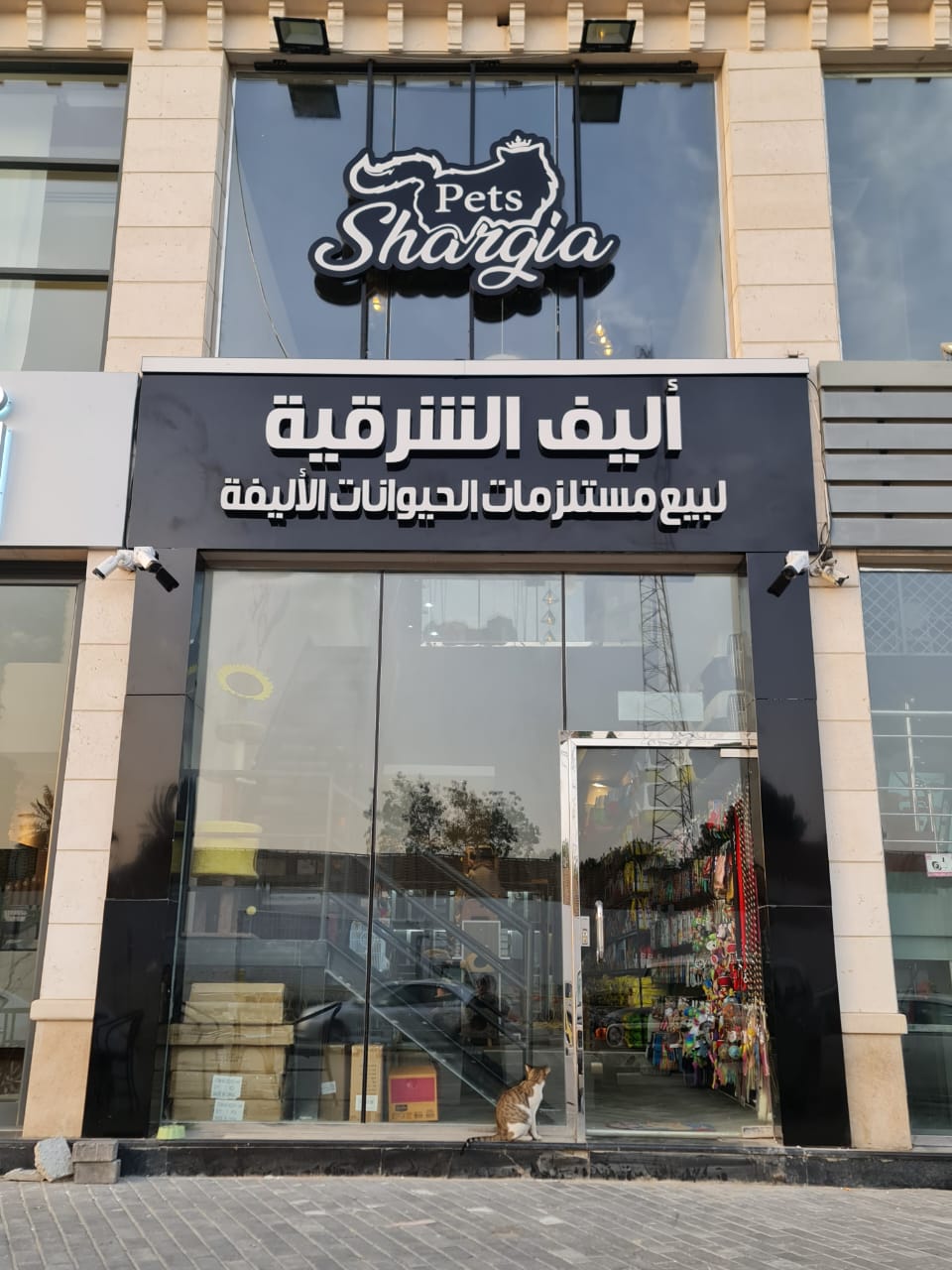 عيش سفاري - صورة 3