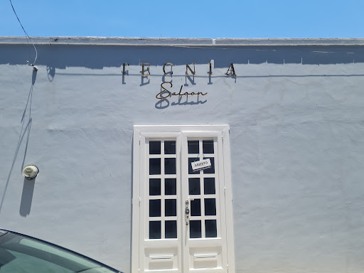 TECNIA SALOON - Thumbnail