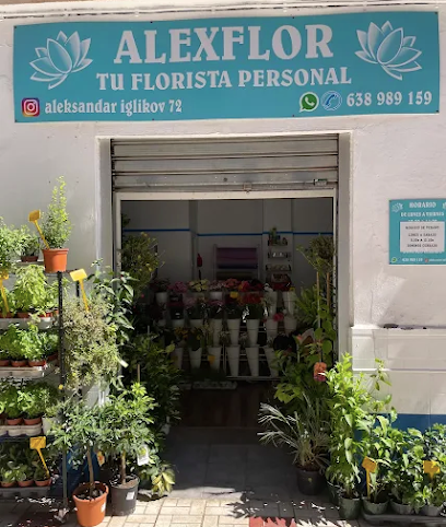 ALEXFLOR | Floristería en Málaga