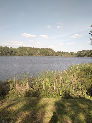 Edgefield County Water & Sewer Authority - Thumbnail