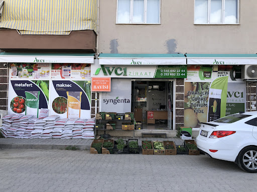 Dalaman Avcı Ziraat