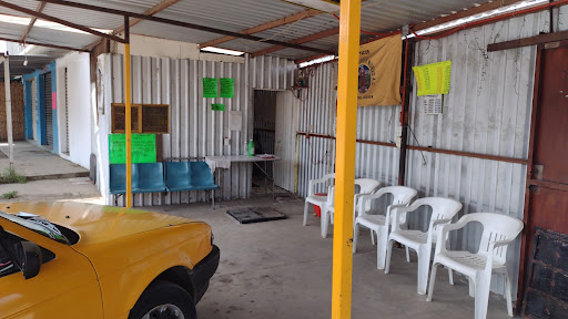 Sitio de taxis "Guadalupe Pueblo Nuevo, Centro."