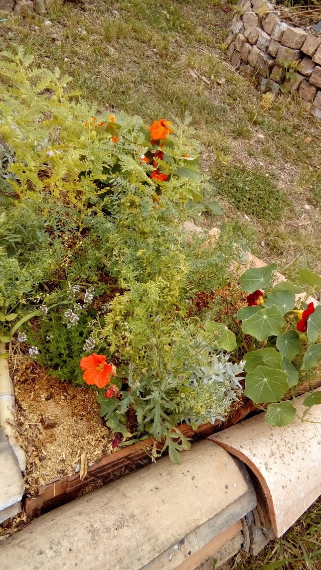 Jardin l'Éphémère