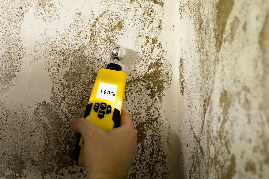 Florida Mold Masters of Southeast Jacksonville photo