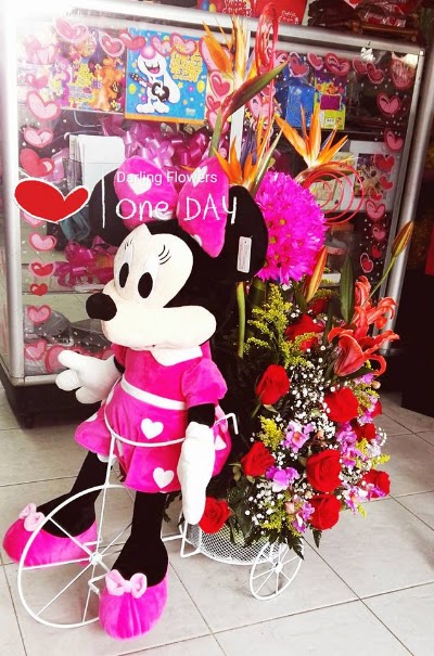 Photos of Darling Flowers