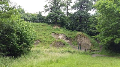 Photos of Bivak- en Kampeercentrum "'t Zinkviooltje" B.V.